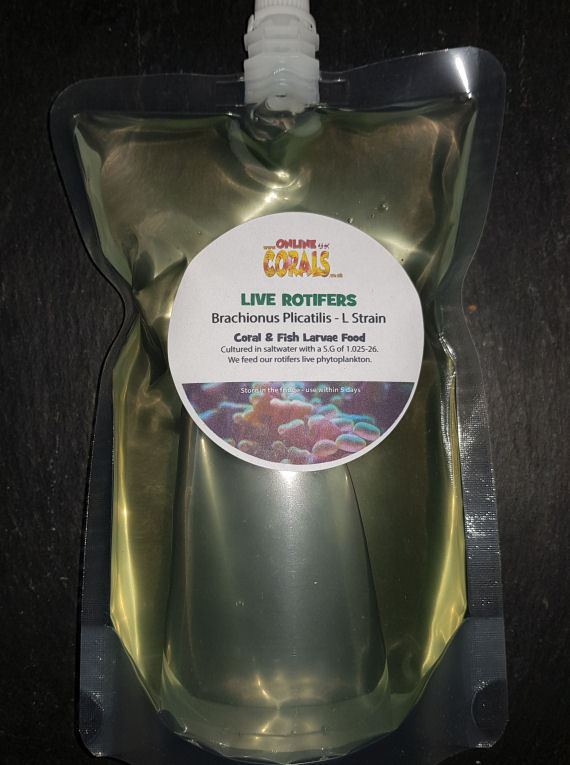 Live Rotifers 500ml